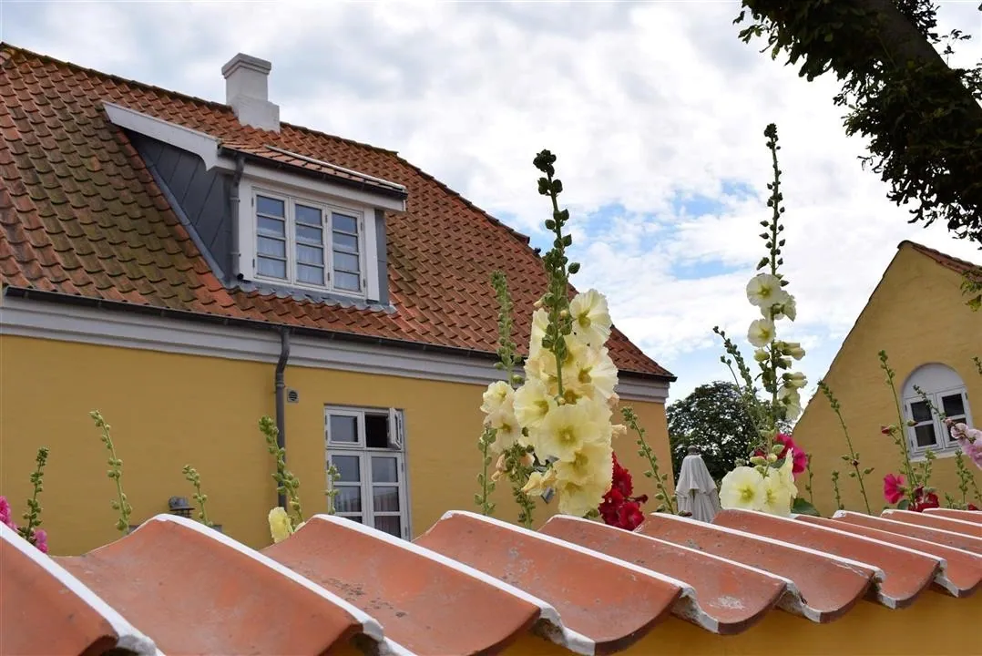 Assens and the North of Denmark 2017